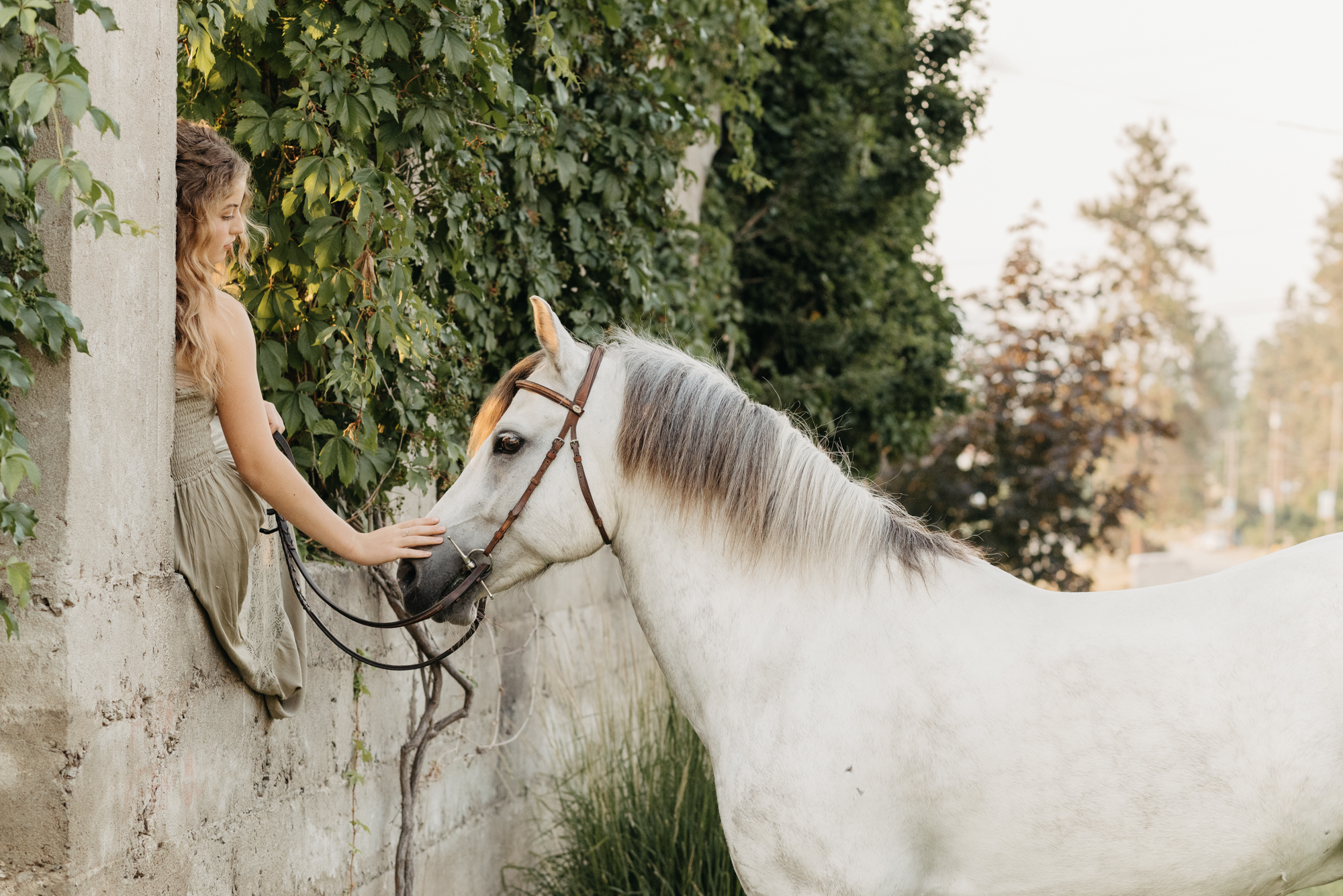 Girl sitting on window area of vine covered building with grey horse